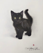 Load image into Gallery viewer, Samples