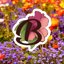 Load image into Gallery viewer, Samples