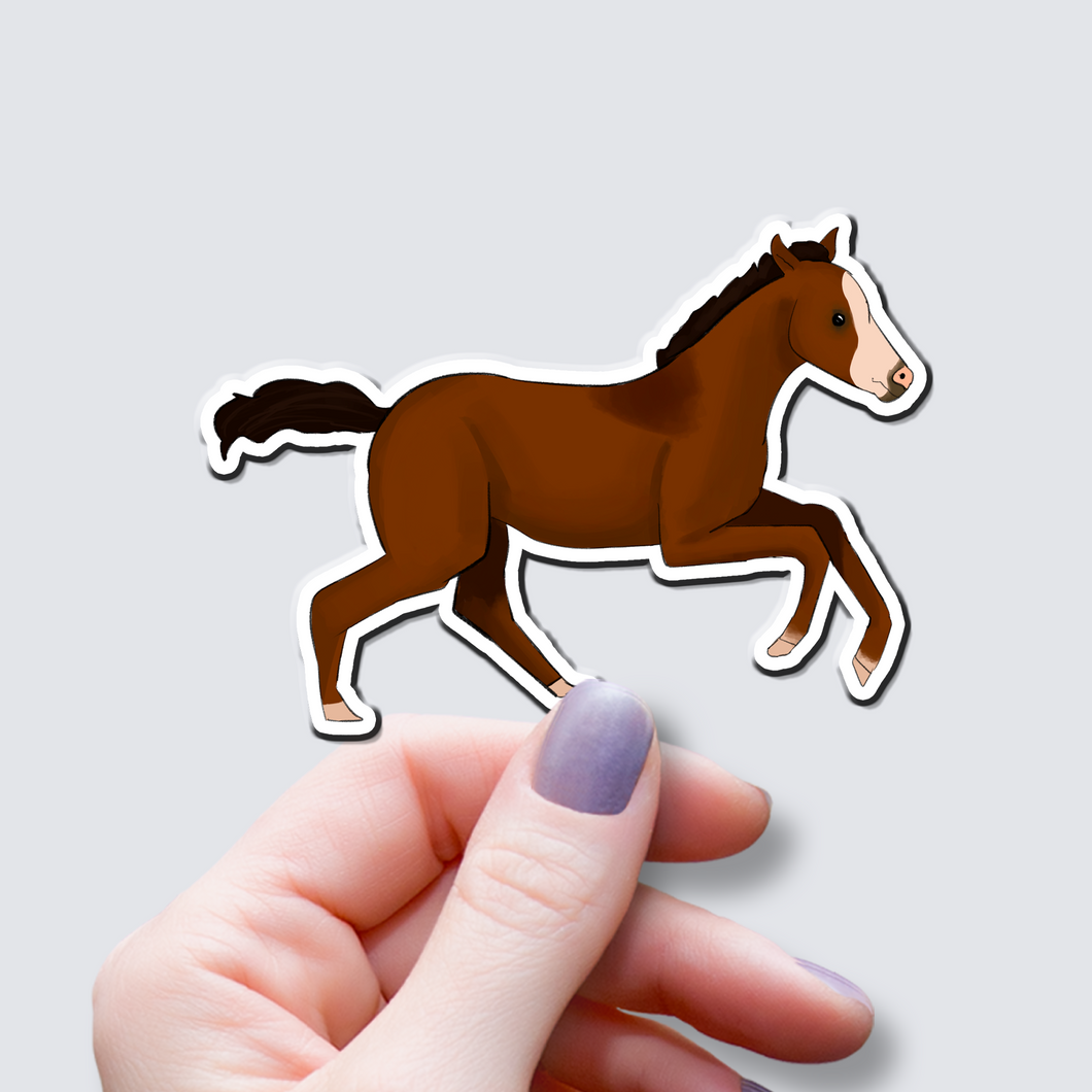 Barn Animals - Foal -Vinyl Sticker